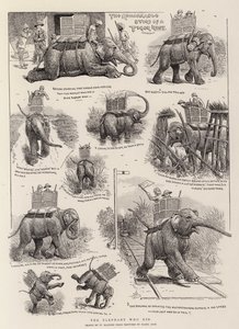 O elefante que fez